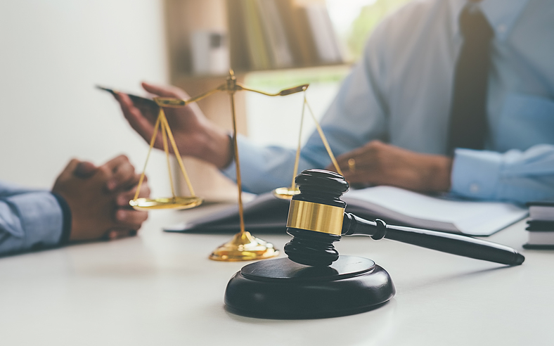 Tham khảo kinh nghiệm của Pháp về hoạt động Thừa phát lại 11 hanh nghe thua phat lai tphcm