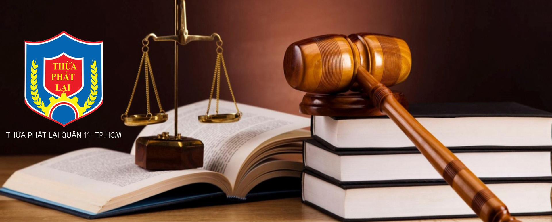 Trang chủ 12 THỪA PHÁT LẠI QUẬN 11 - TPHCM